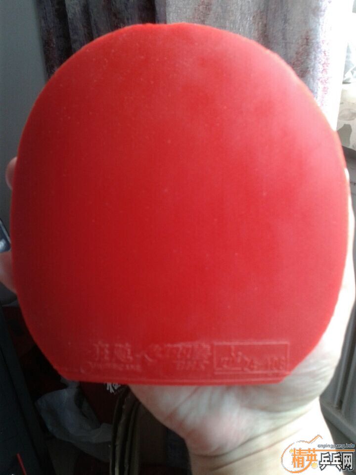 ��ʡ��40����ɫ��