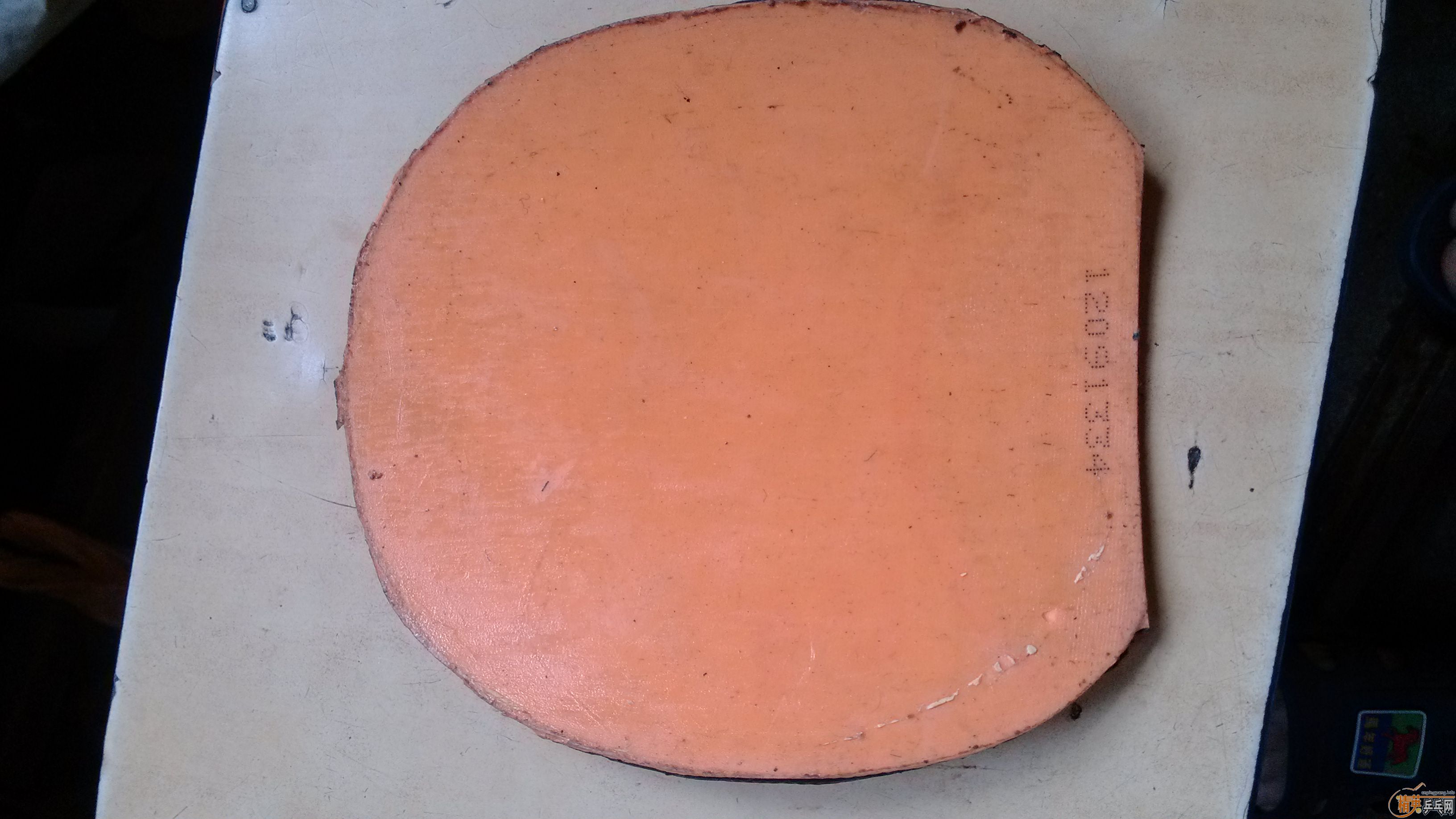 ��һ��ѽ�Ƥ���д��ֹ����տ��칭3�����͵ȣ�����������