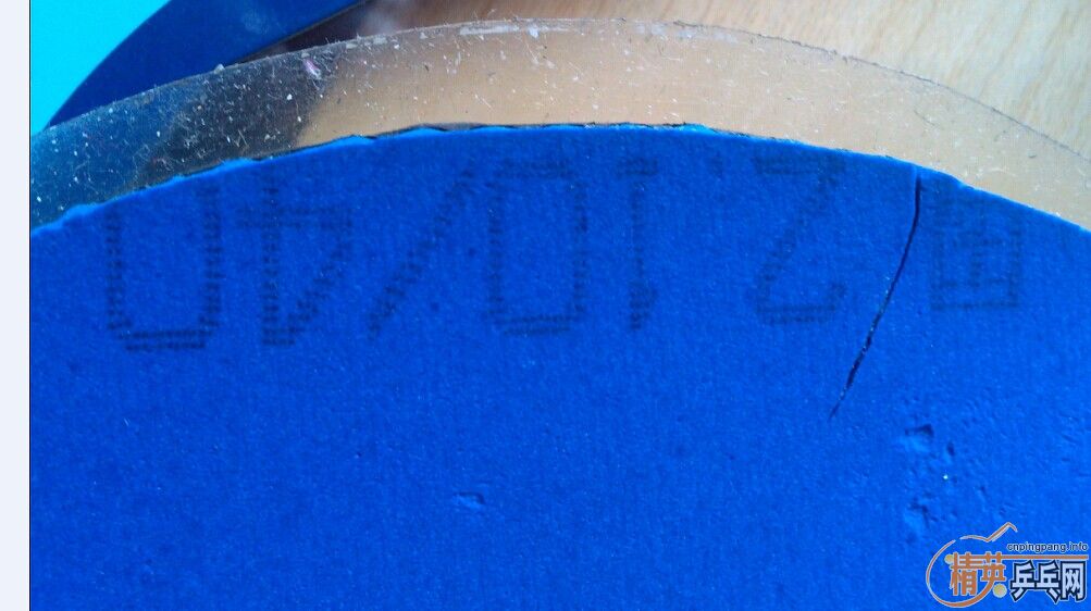 ������������VIP����ʡ��