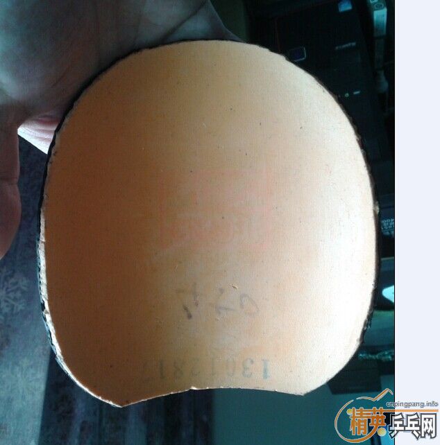 ��ʡ��40����ɫ�����