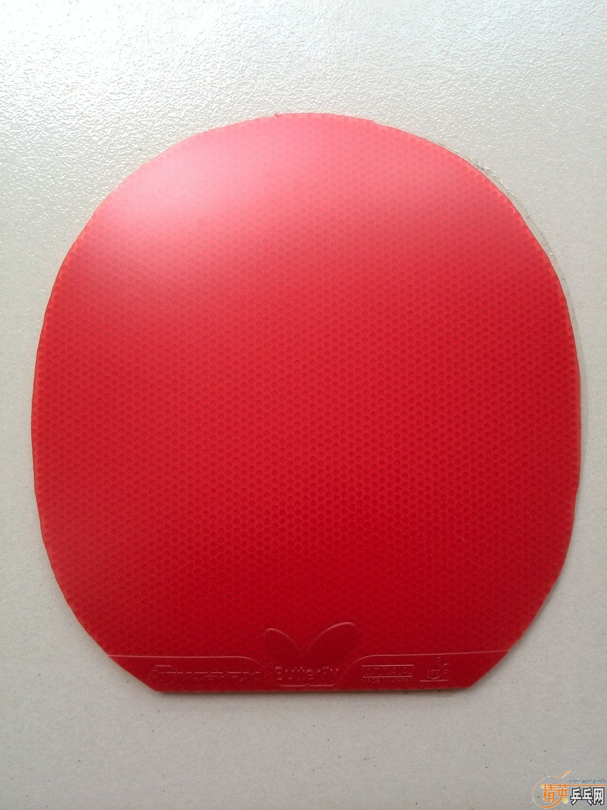 ������˹�ٿ�