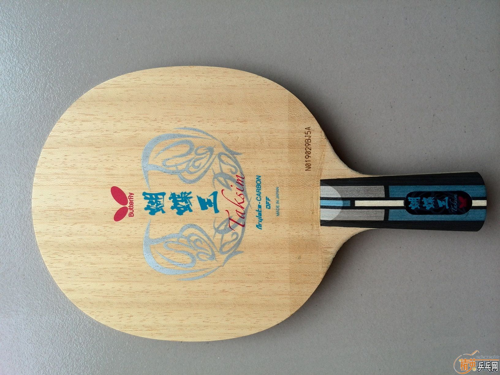 ����ԭ��