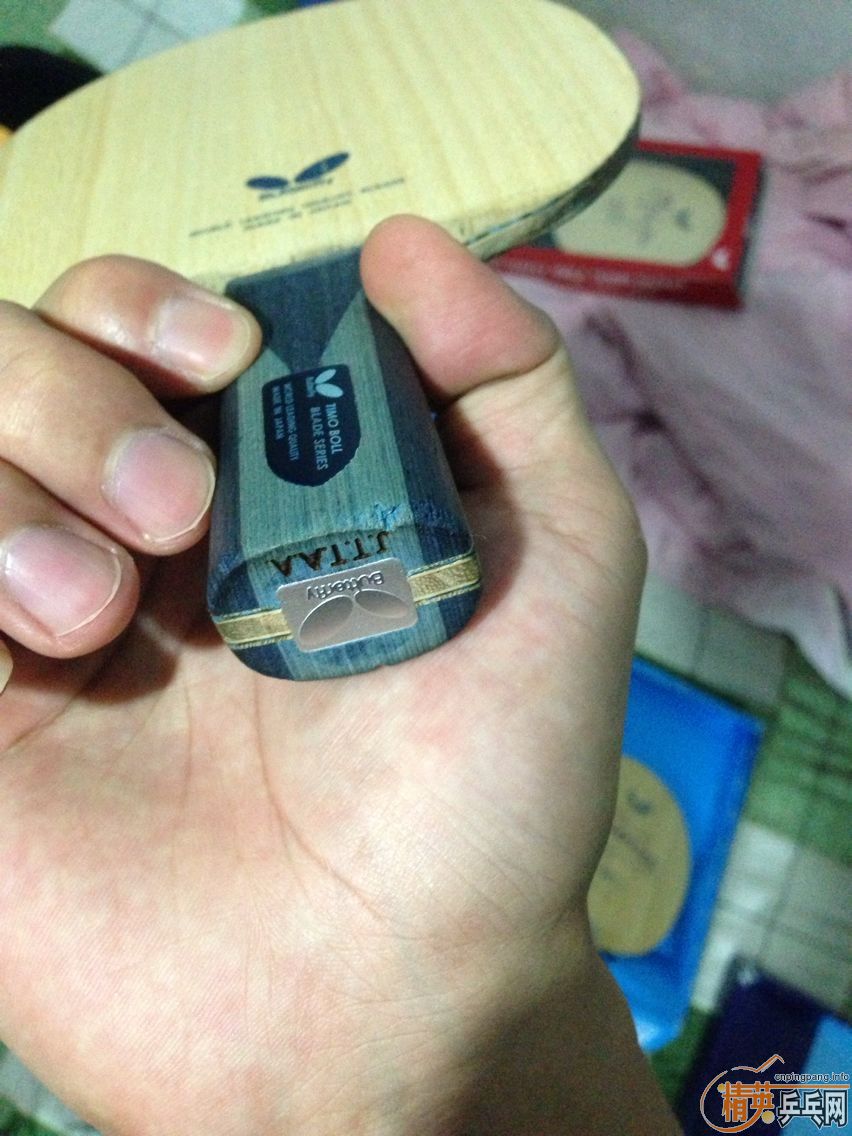 �� �л�boll alc 8�� �ײ���