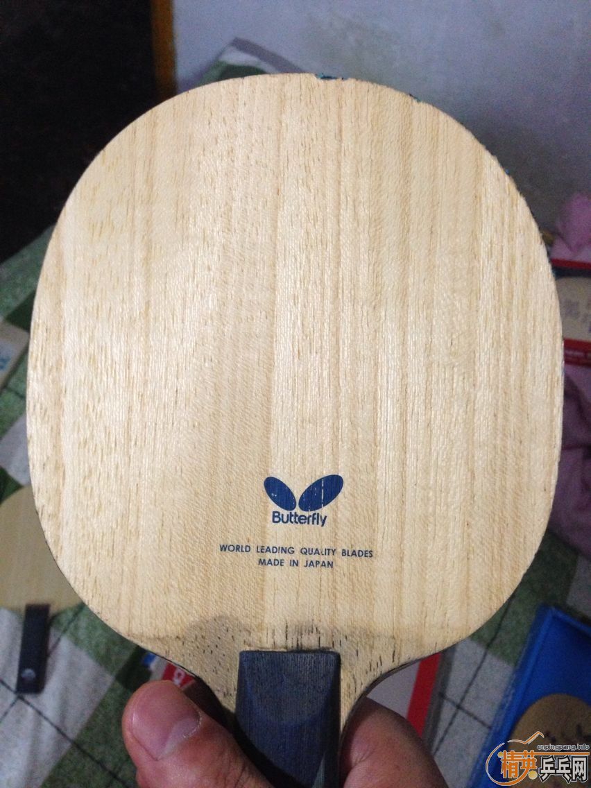 �� �л�boll alc 8�� �ײ���