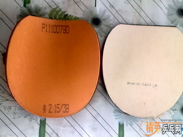 ������ ʡ�� ����bryce-fx