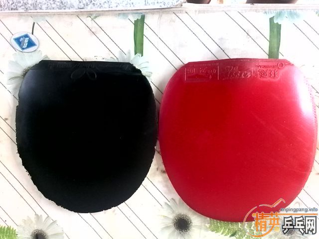 ������ ʡ�� ����bryce-fx