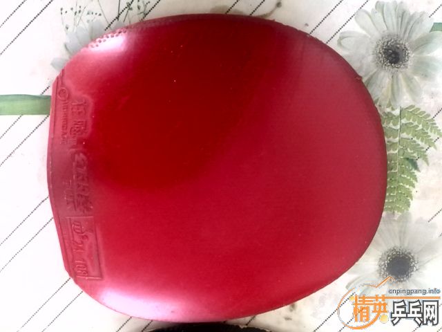 ������ ʡ�� ����bryce-fx