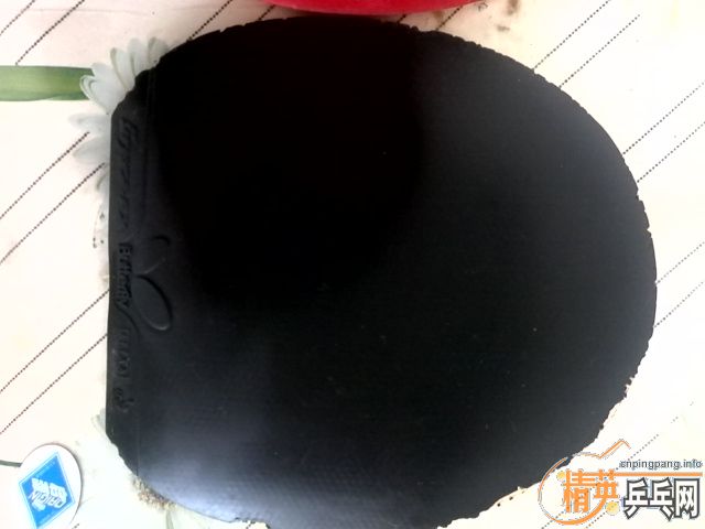 ������ ʡ�� ����bryce-fx