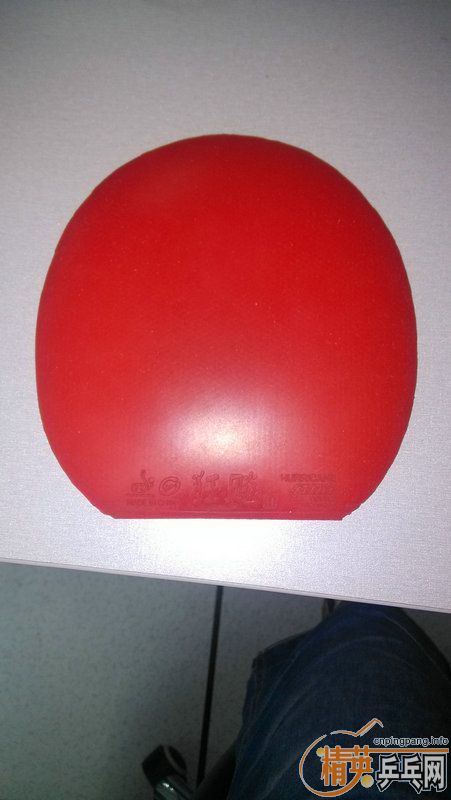 ��10ʡ����39�ȣ�NEO����39�ȣ�Ψ���й�