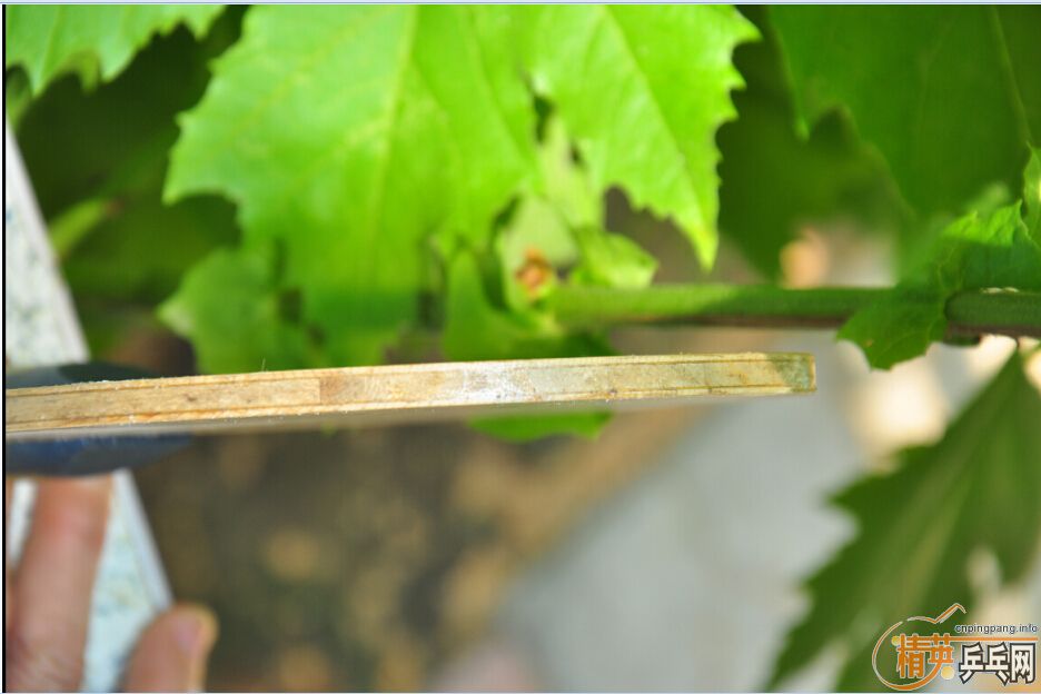 ����΢�� 87�� �����ͼ