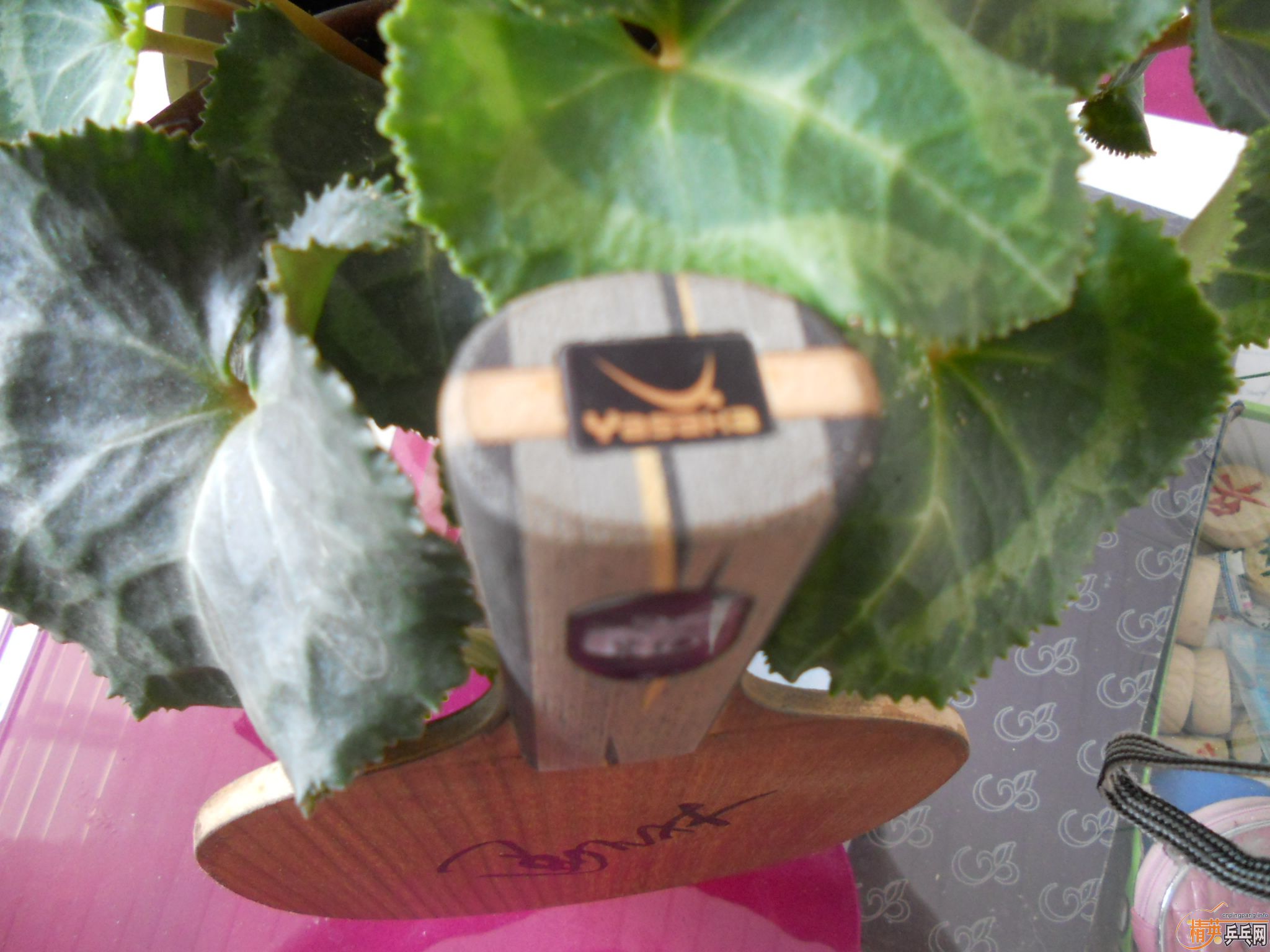 ��YEO��270����