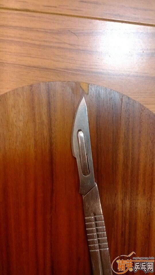 ���ó�ɫ��ʤ���л�õ��5