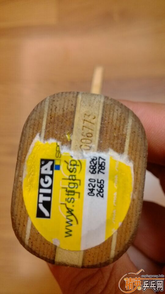 ���ó�ɫ��ʤ���л�õ��5