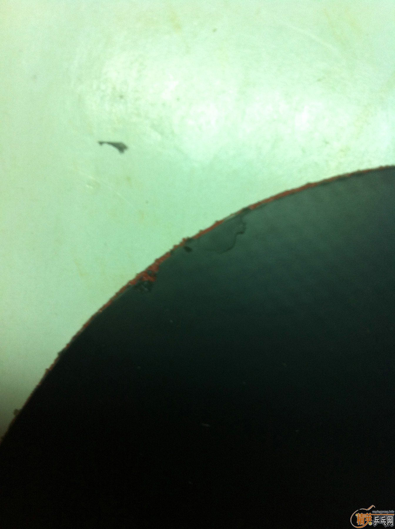 100�����ELP����ɫ�Զ��壬�������ֹ�