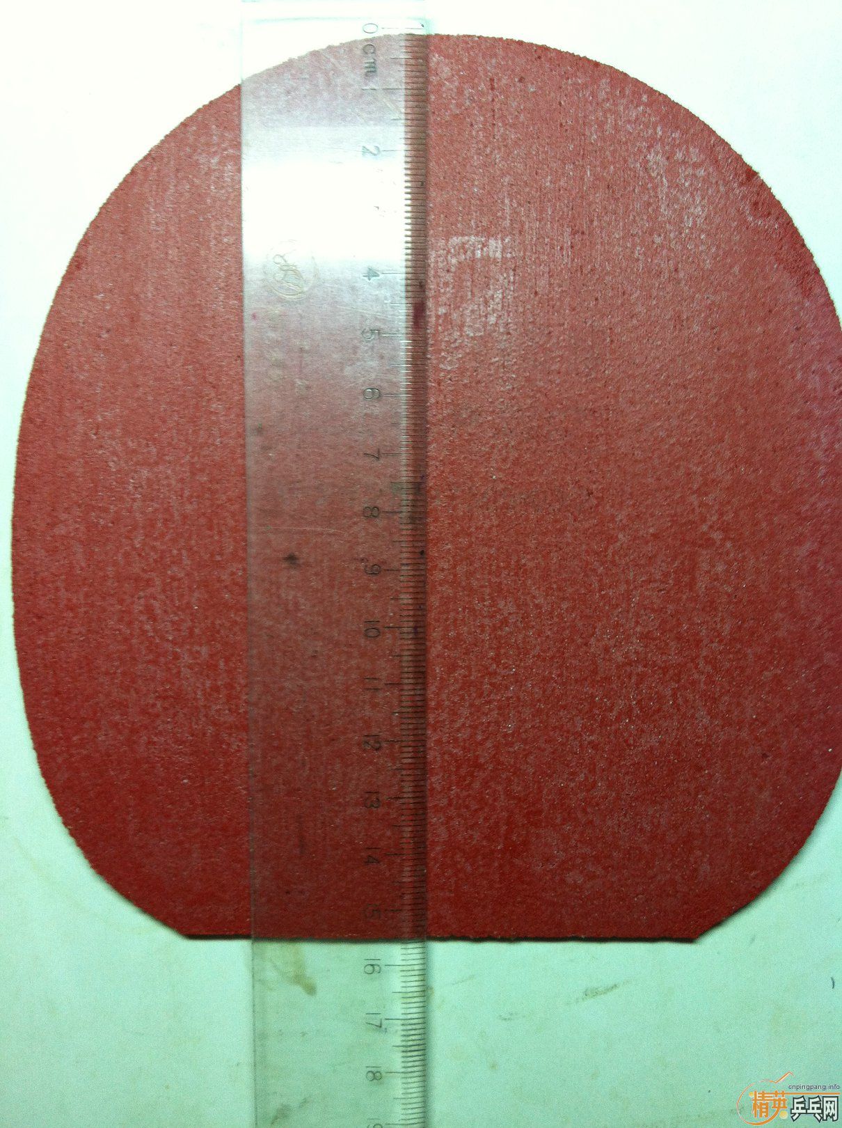 100�����ELP����ɫ�Զ��壬�������ֹ�