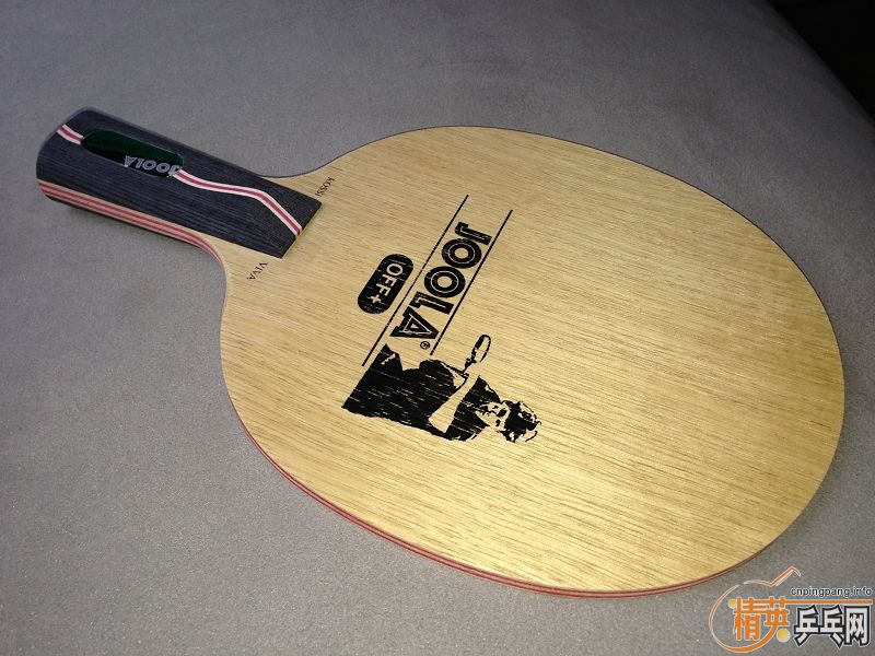 ��VIVA����