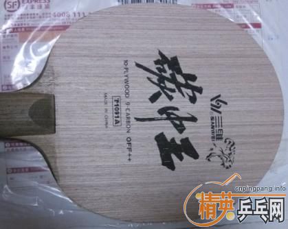 [ԭ��]֧������Ʒ��ã�99����ά ̼����