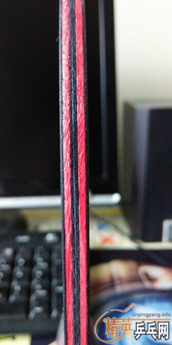 ��������̼��9.8