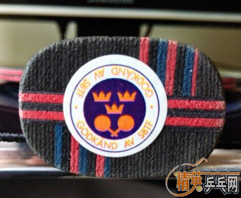 ��������̼��9.8