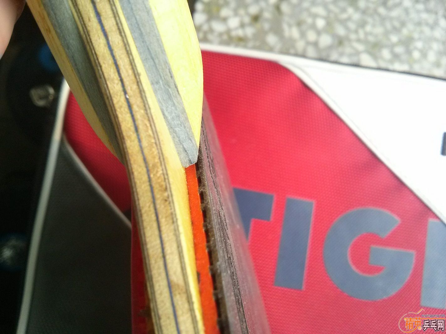 [ԭ��]��������ۭ��ͥ�����+sriver el+����۸�180��˳��