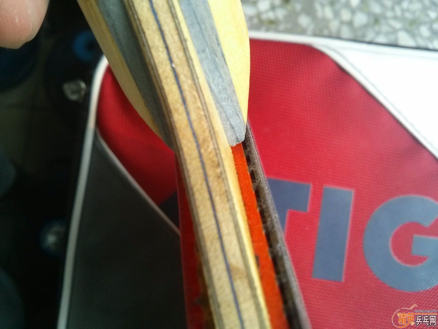 [ԭ��]��������ۭ��ͥ�����+sriver el+����۸�180��˳��