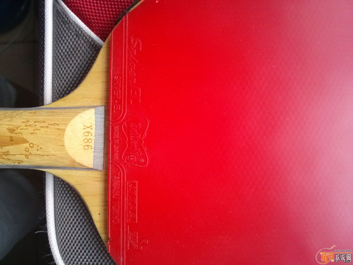 [ԭ��]��������ۭ��ͥ�����+sriver el+����۸�180��˳��