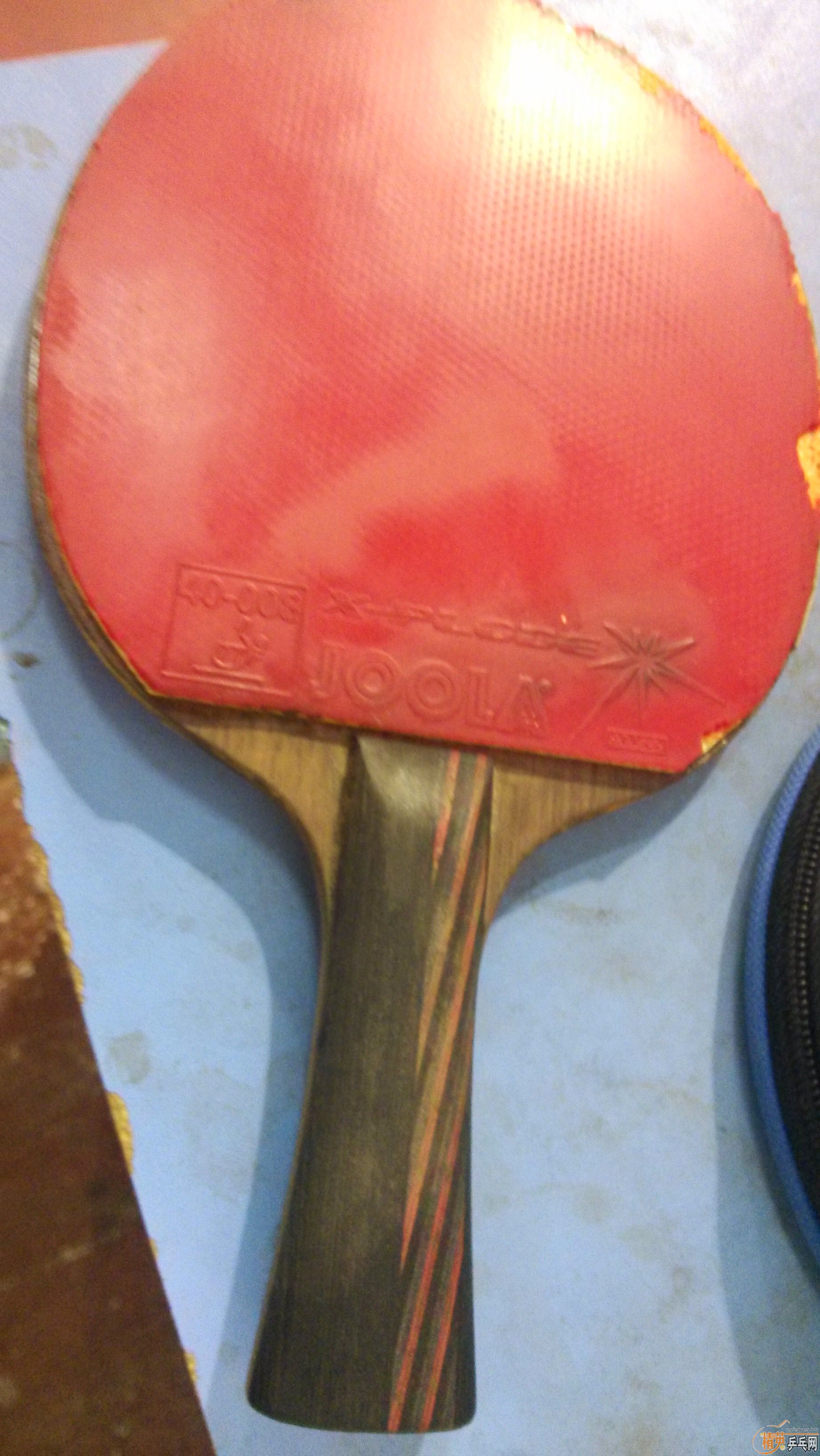 ����OC , 310Ԫ���ʣ�