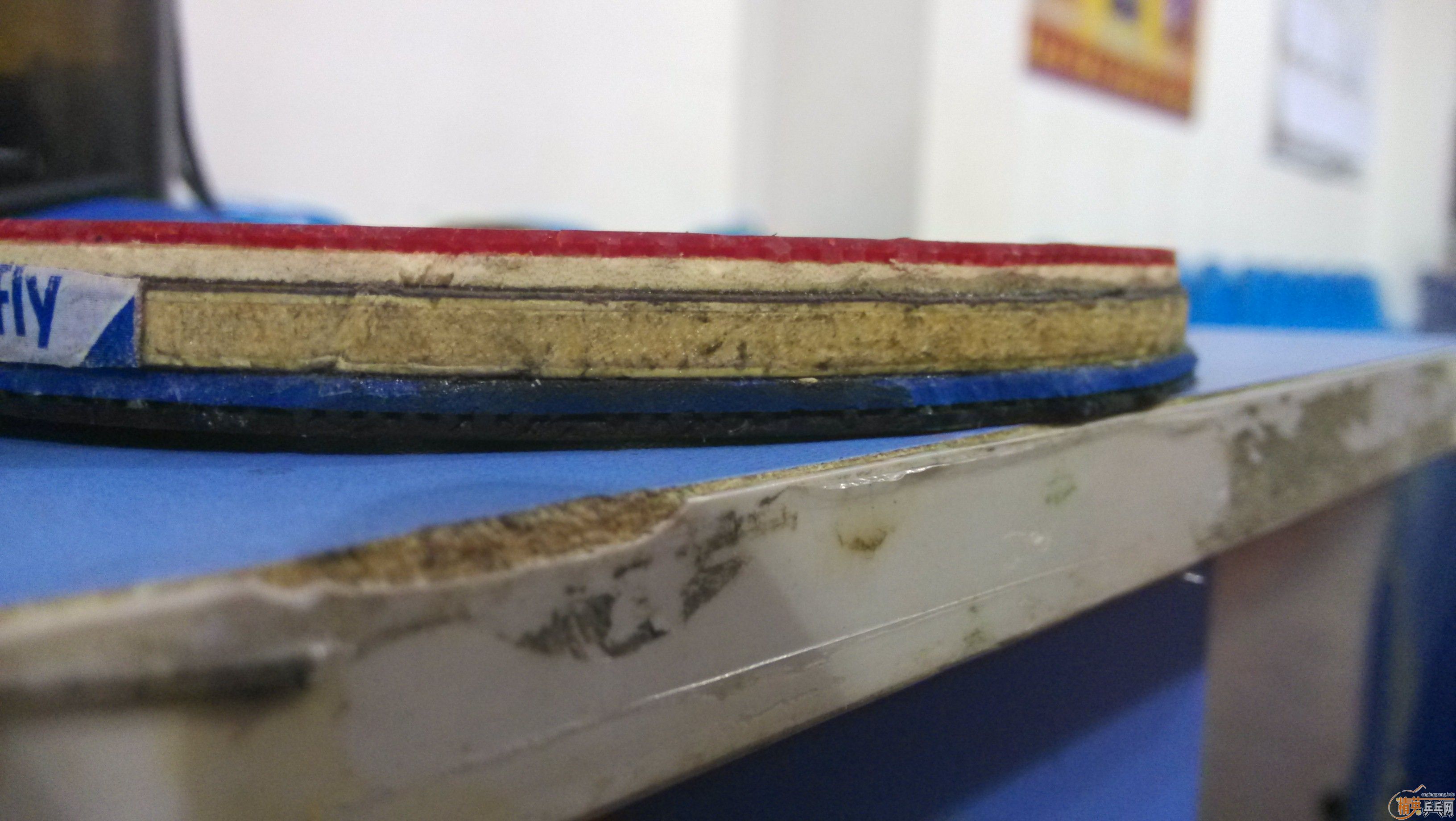 ����OC , 310Ԫ���ʣ�