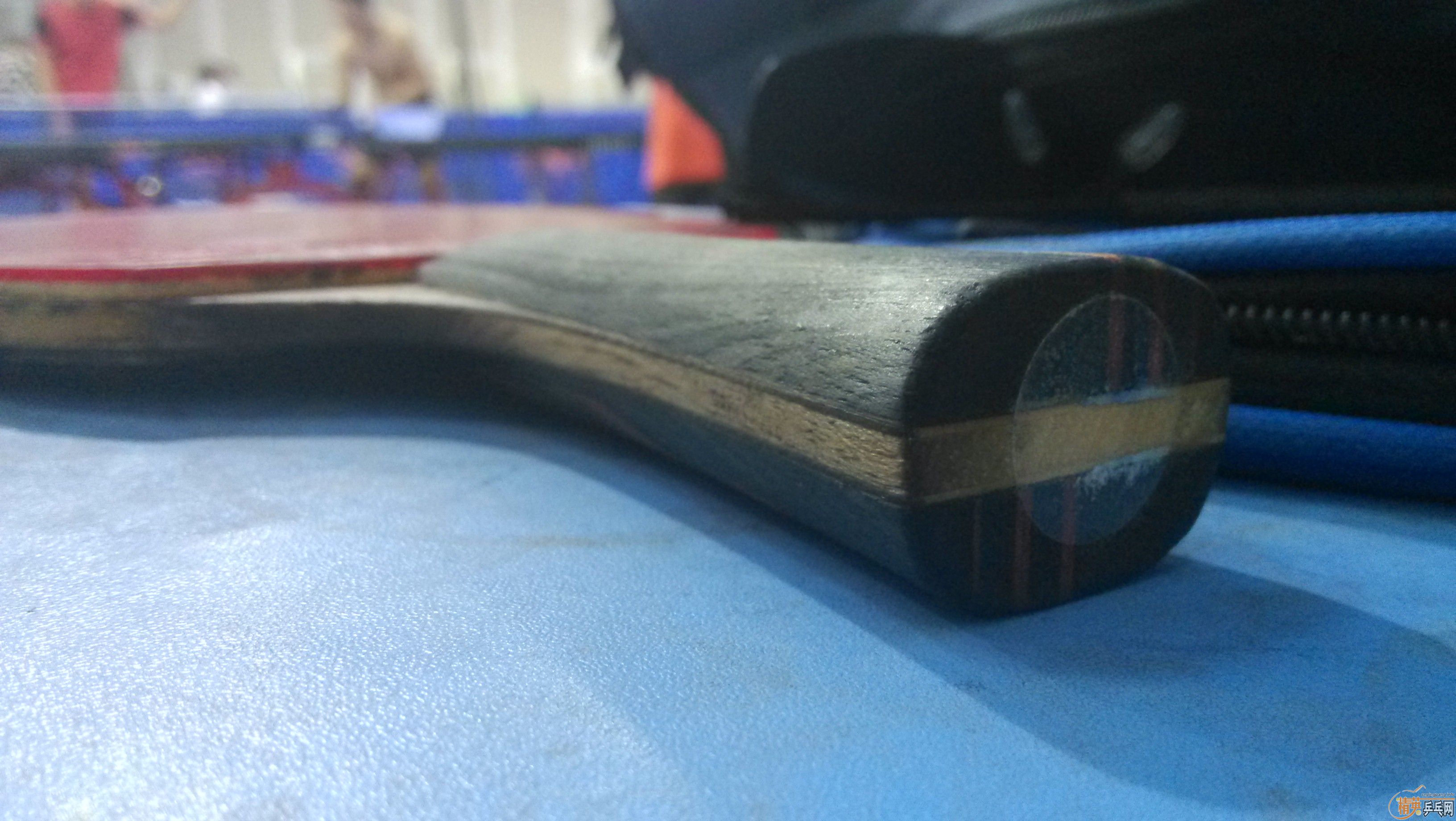 ����OC , 310Ԫ���ʣ�