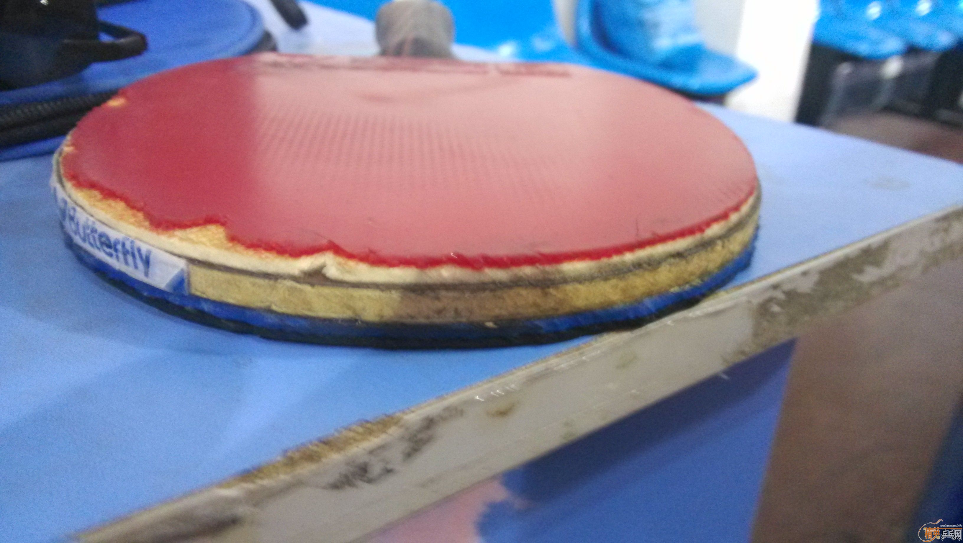 ����OC , 310Ԫ���ʣ�