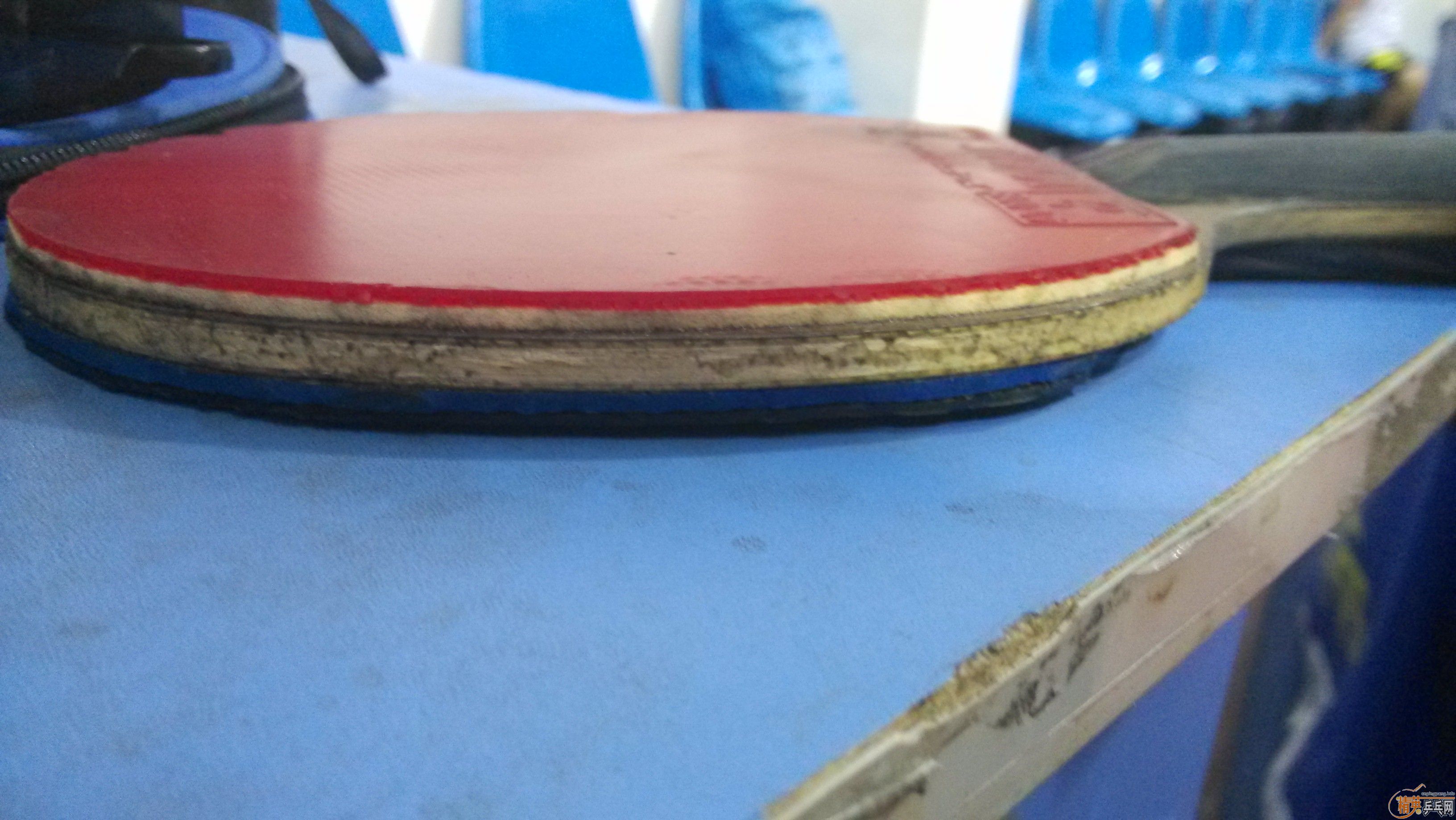 ����OC , 310Ԫ���ʣ�