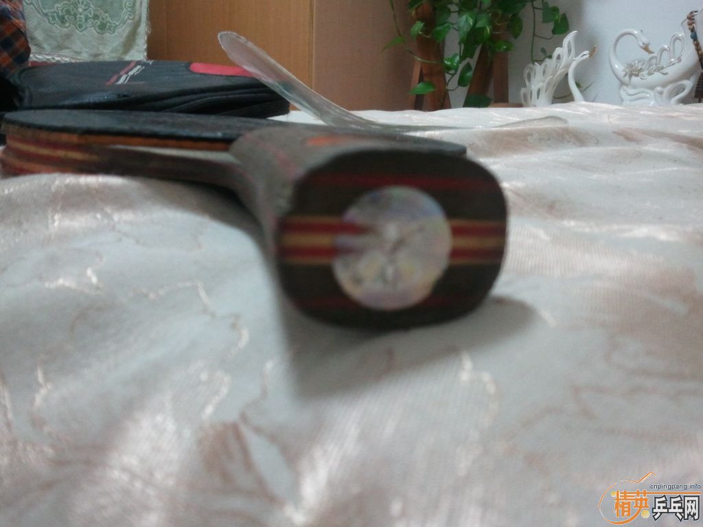 ��stiga ��cl ��һ�ſ��ÿ��3 ����������Ȧ�廻