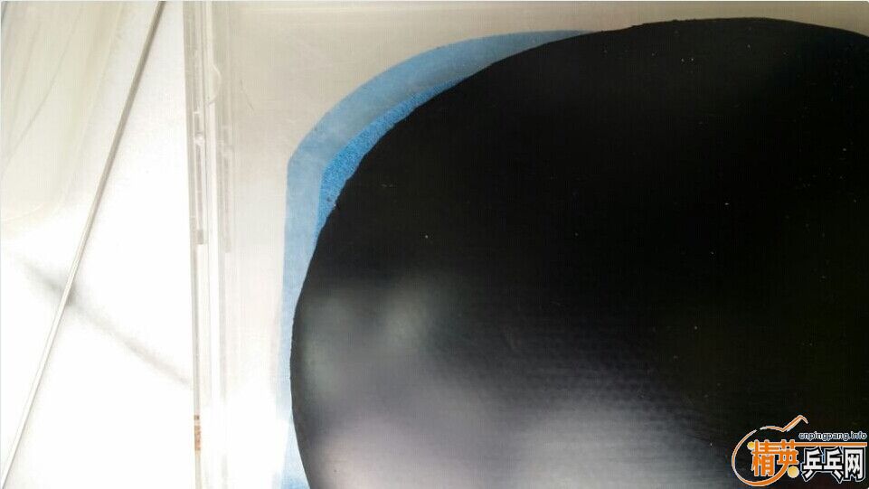 ����  ��ɫ  OC����  100Ԫ����