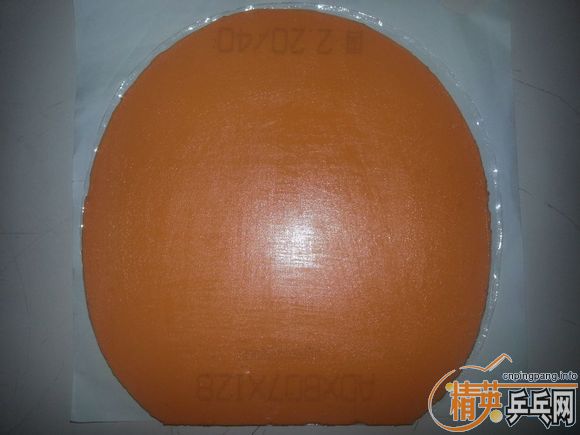 �������׿ǹ��� T05