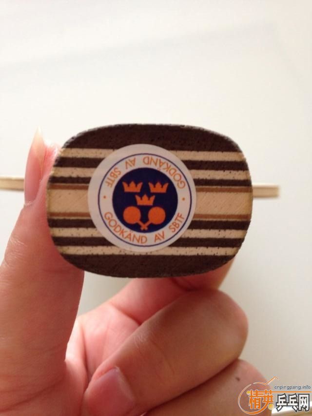 300���ʳ�STIGA VPSһ�ѣ�δ���κδ�ĥ������