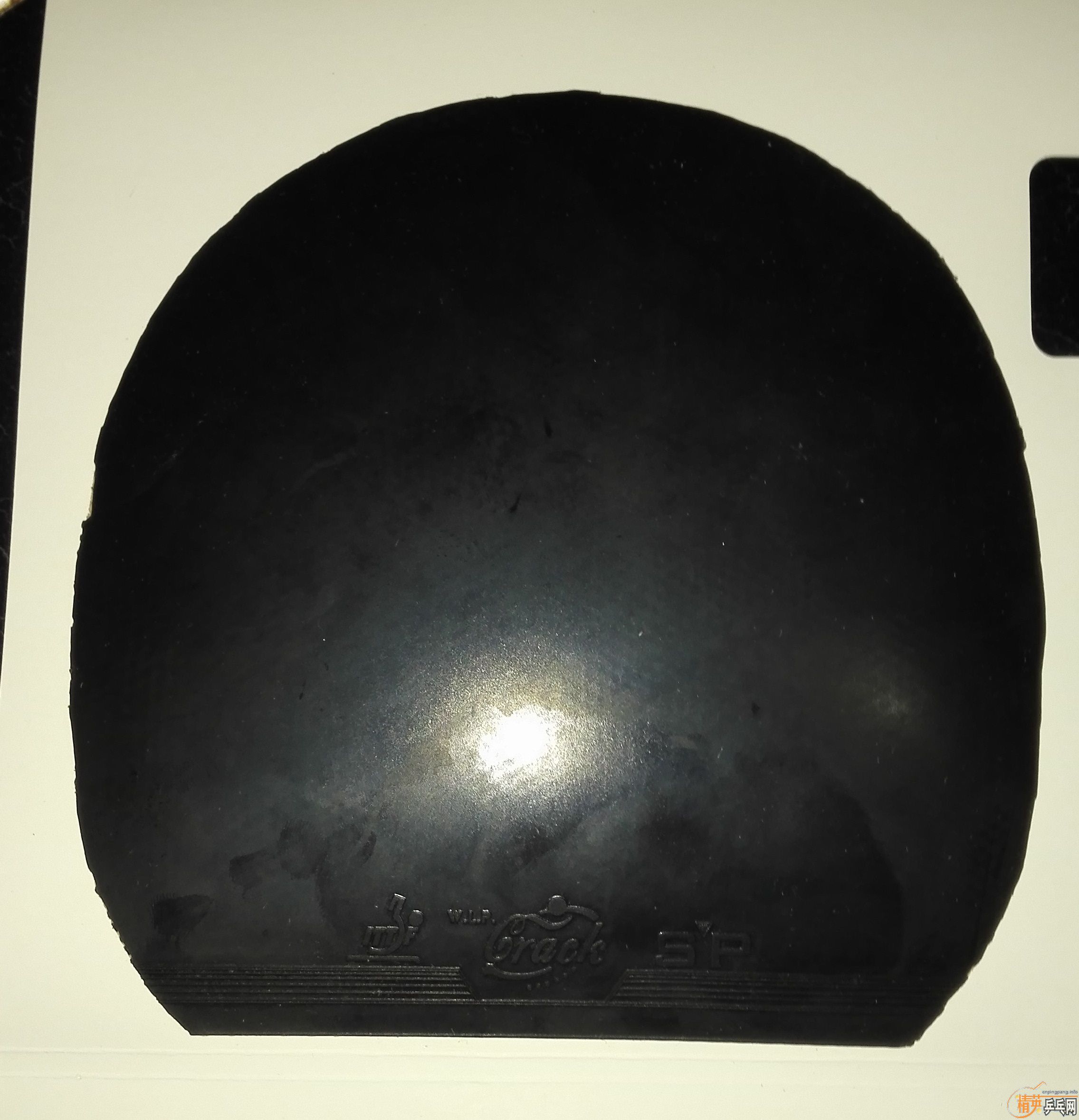 [ԭ��]9�׿�����SPרҵ�棬����ʡ�񡣴��88�������𲻵���ī����QQ422316394