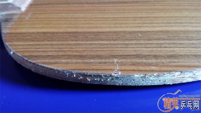 ��-----˹�ٿ�--õ��5���л�����壬480�����...................