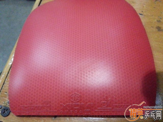 ��ֱ����ŷ�� ��Ӣ�����ɫ��Ƥ��Ҫ���