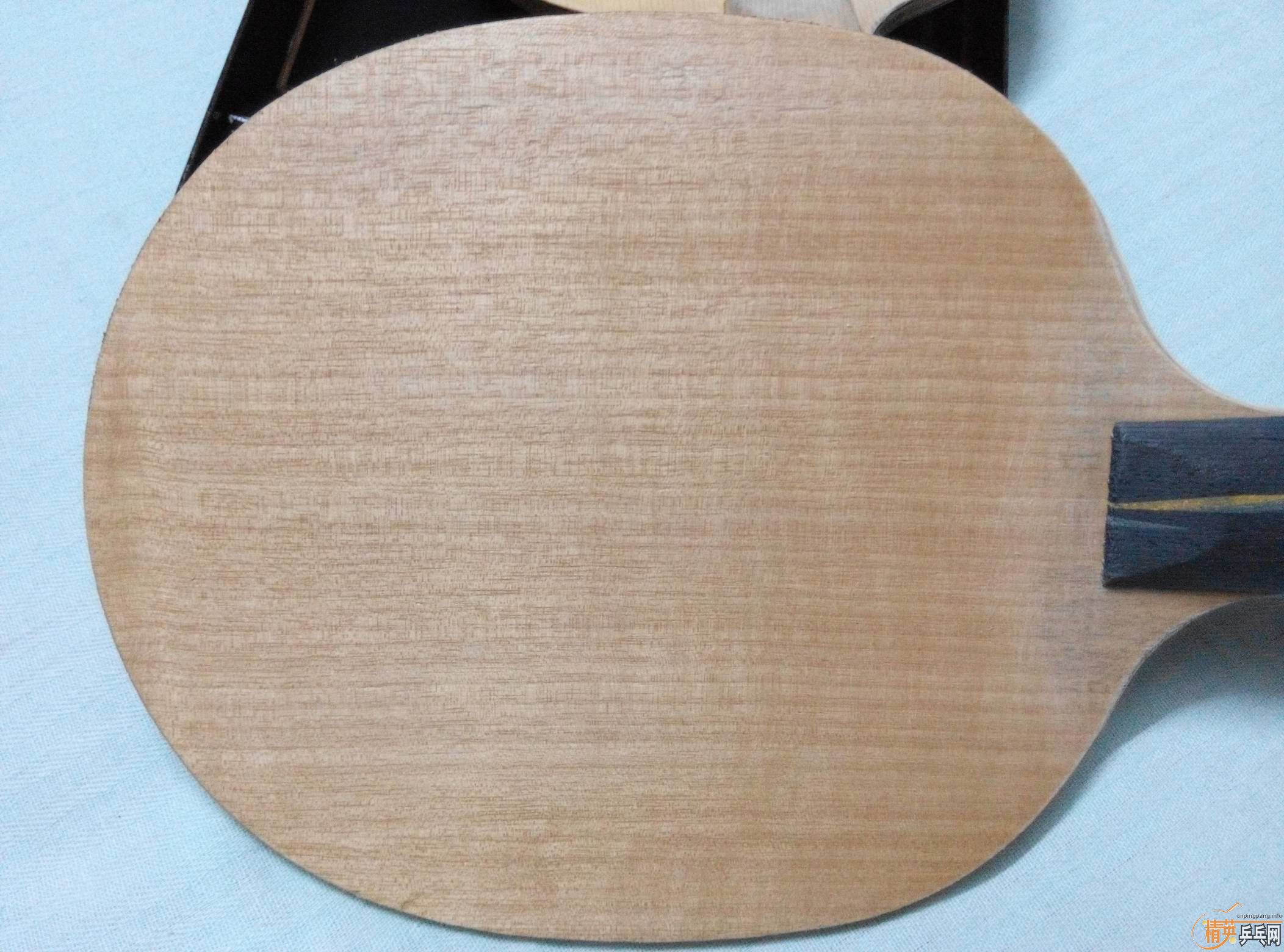 �ó�ɫ�հ�YE