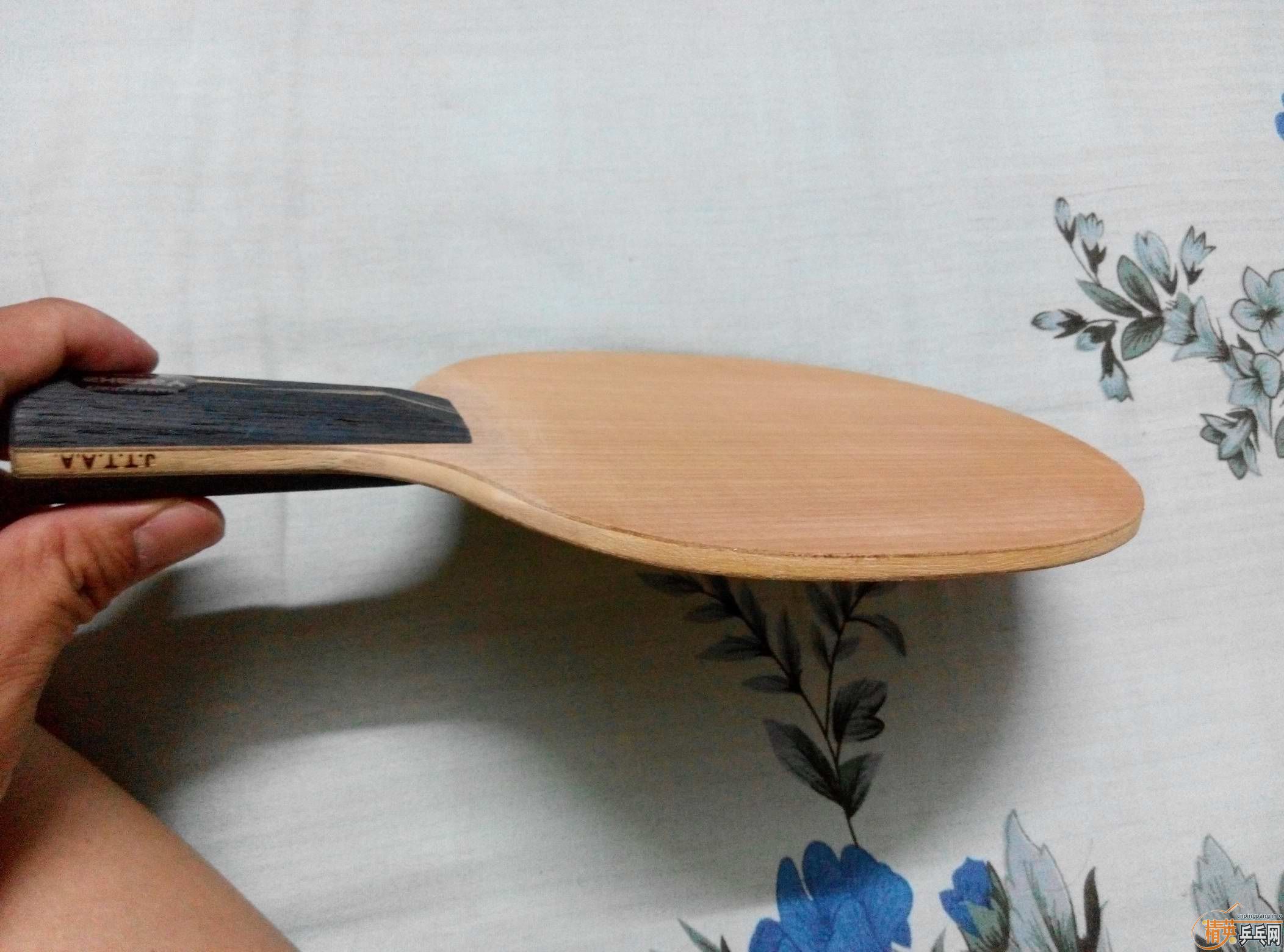 �ó�ɫ�հ�YE