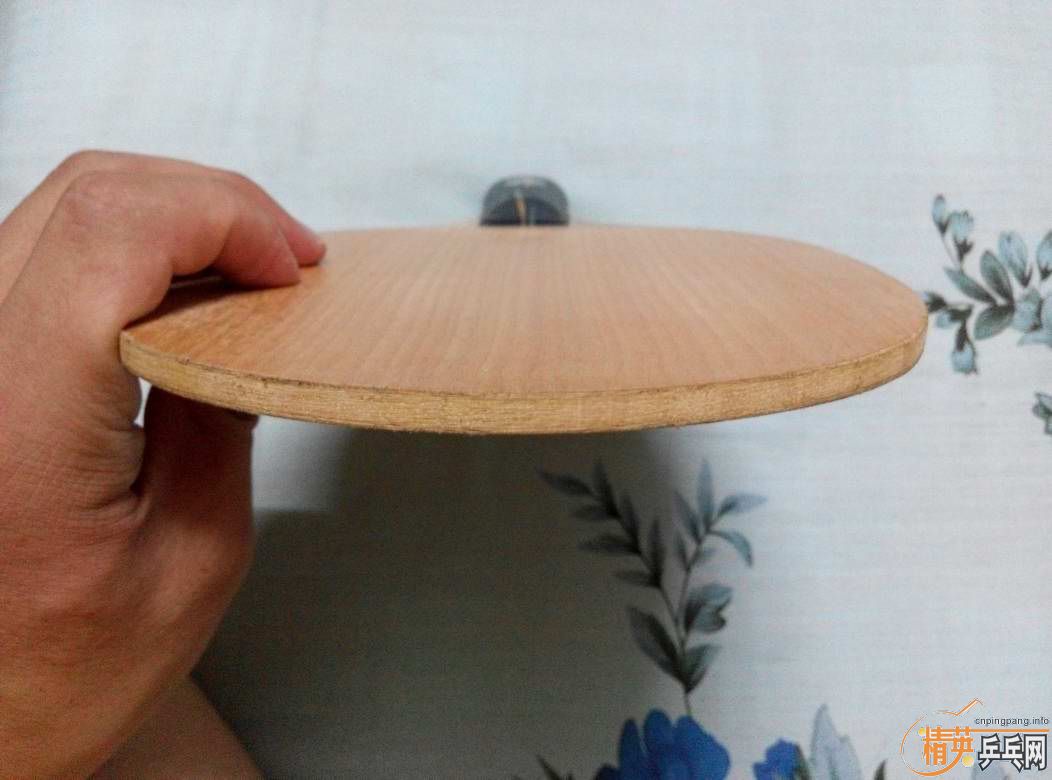 �ó�ɫ�հ�YE