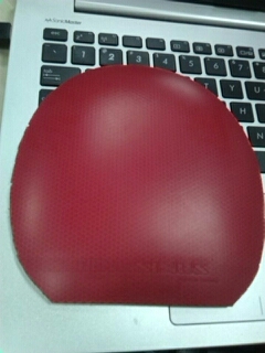 [ԭ��720��˳���]����AMU������1Qһ����֧��������