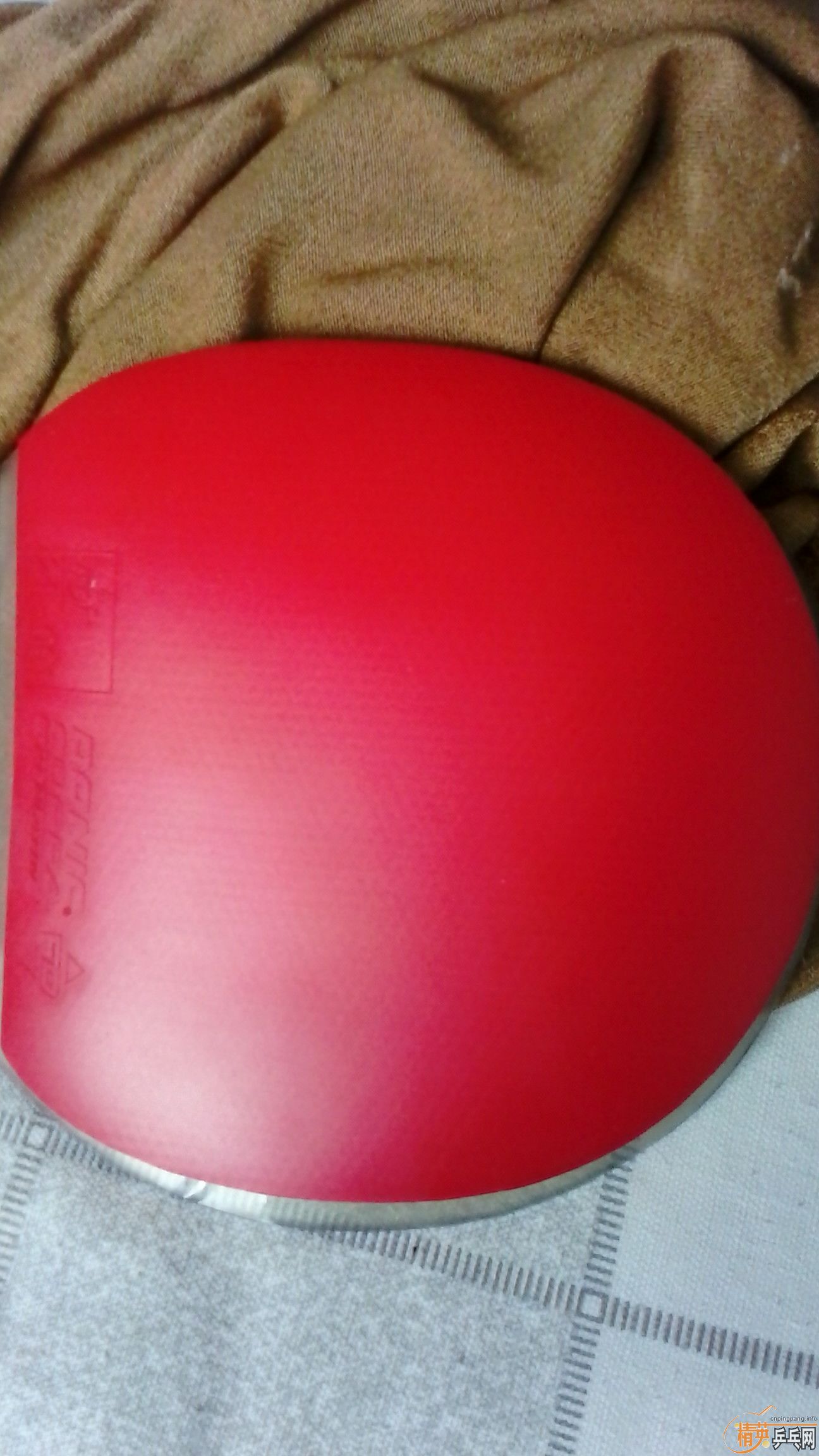 ����� ����jo  ��������100Ԫ  ��