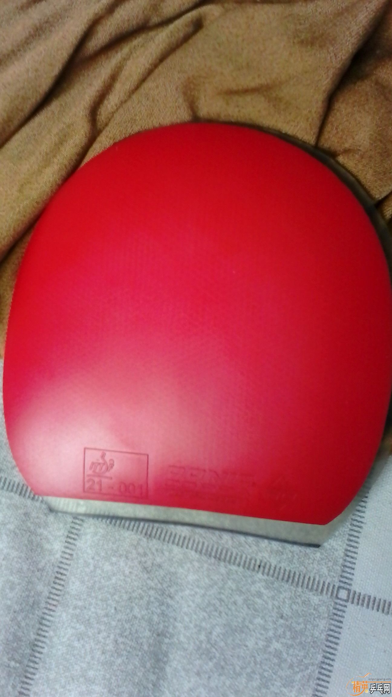 ����� ����jo  ��������100Ԫ  ��