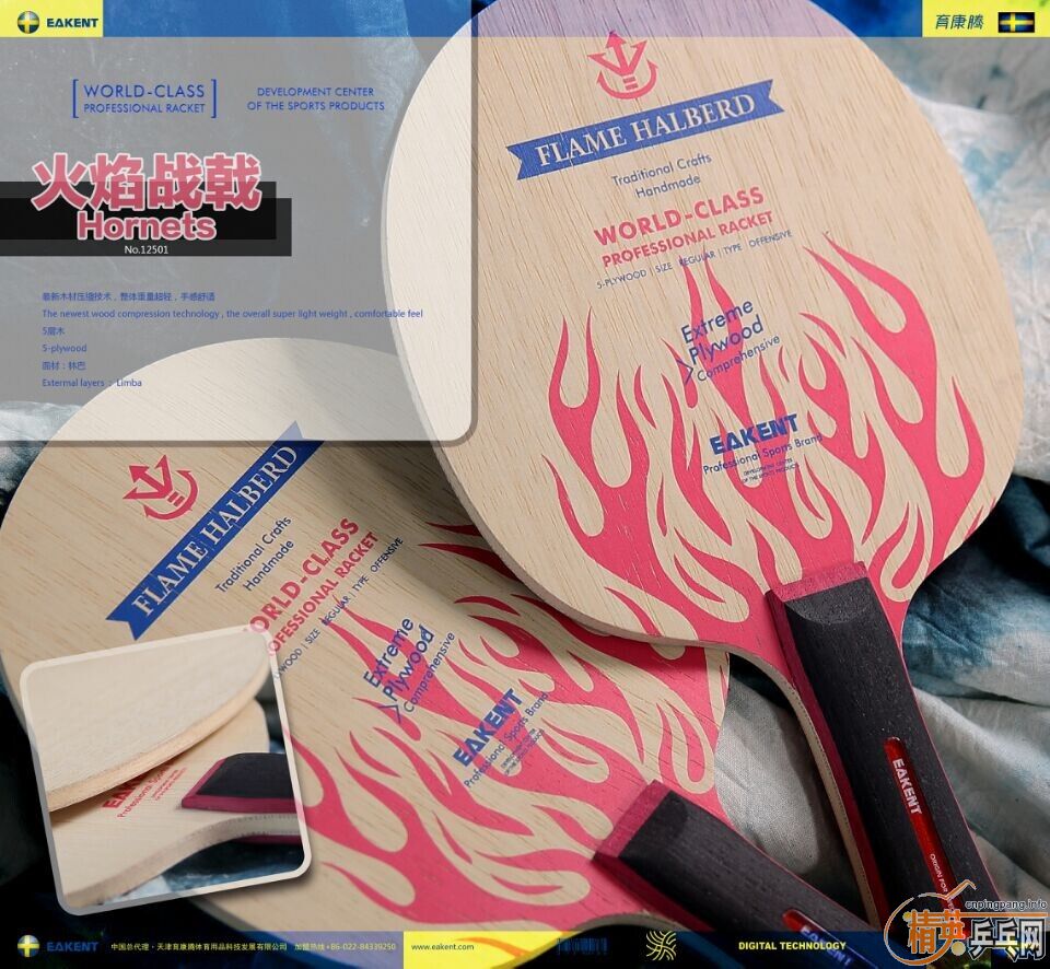 EAKENTװ塪սHORNETS