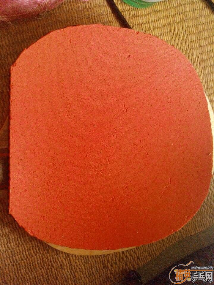 ������CL����Ŀ���50 ��FXP