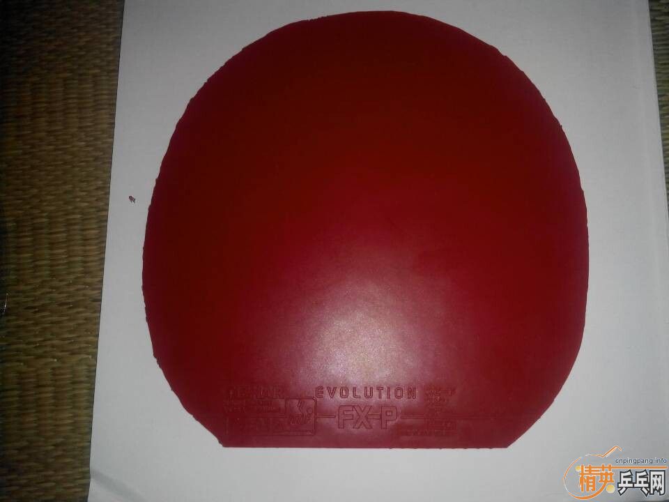 ������CL����Ŀ���50 ��FXP