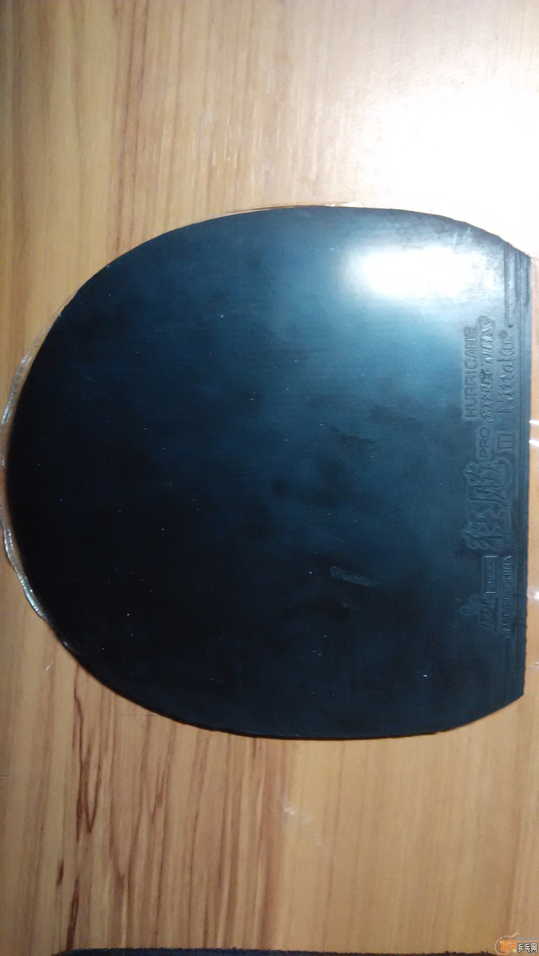 [ԭ��]��ɫ����T05 ��ɫNITTAKU��PRO