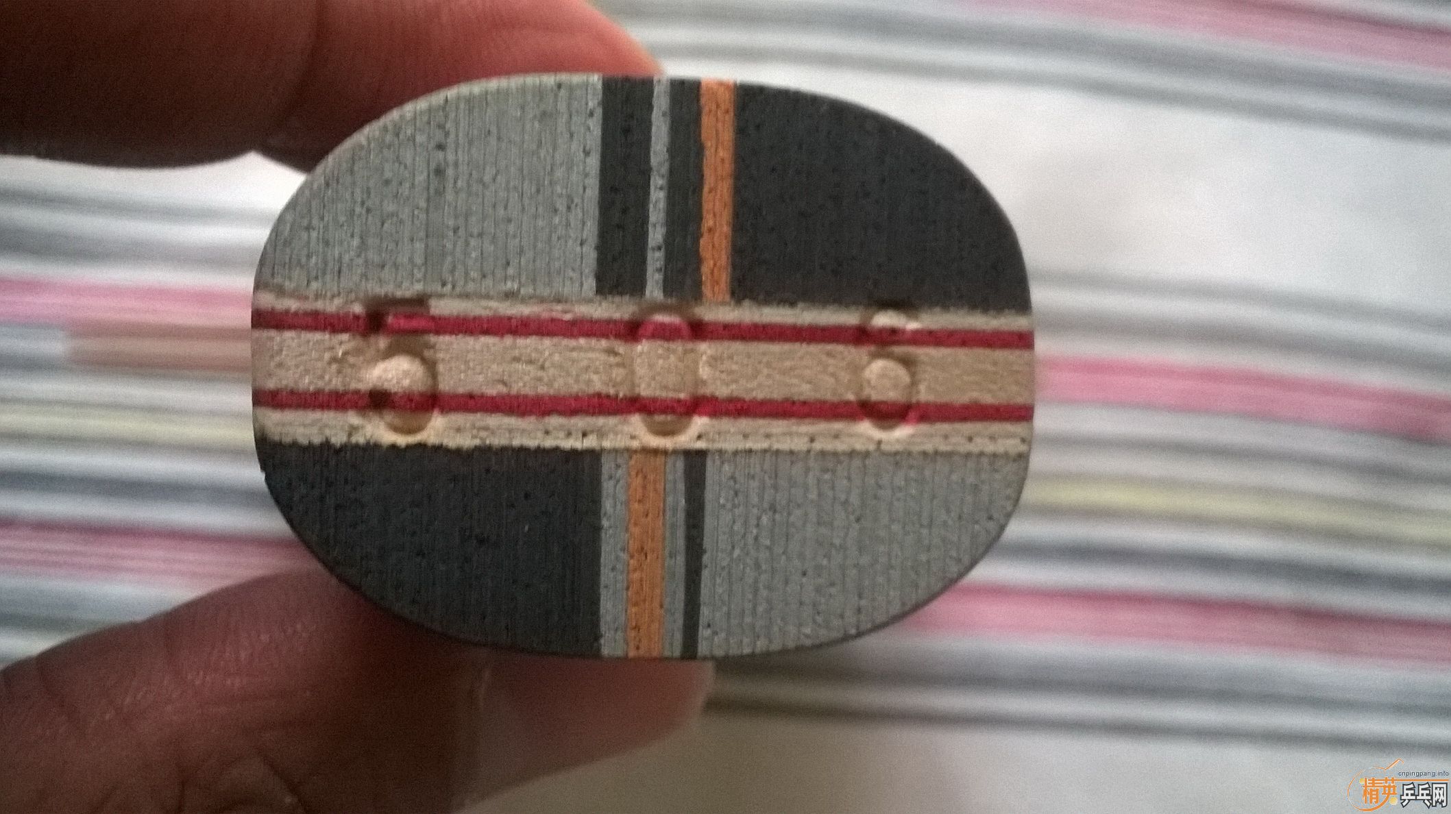 ��˫ϲ���� ��������3��506