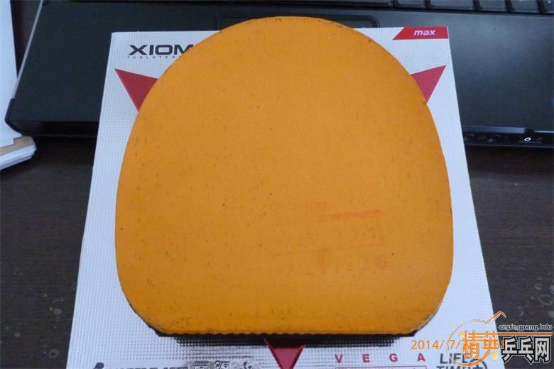 ��viva������Լ���v��08�����ᡢʡ����׽�